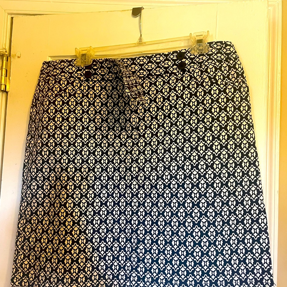 Ann Taylor Skirt